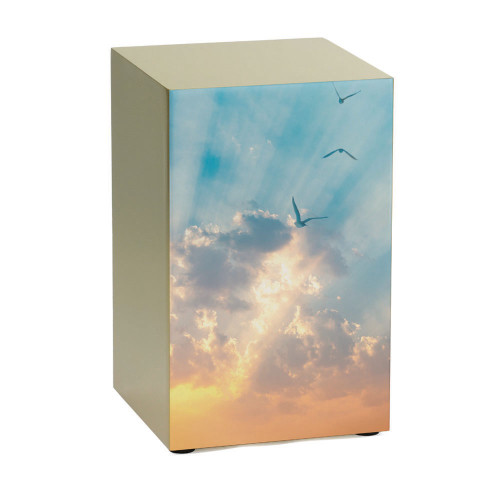 Life Canvas Soaring Sky, Bronze