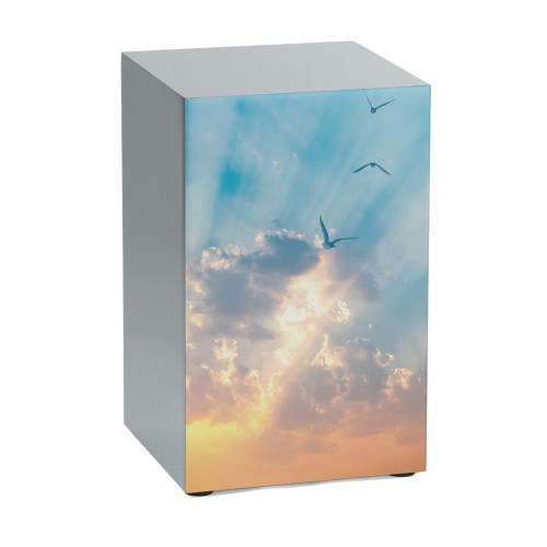 Life Canvas Soaring Sky, Pewter
