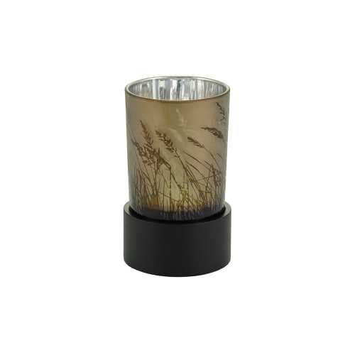 Illuminate Prairie