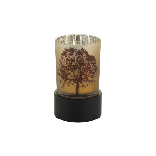 Illuminate Tree of Life