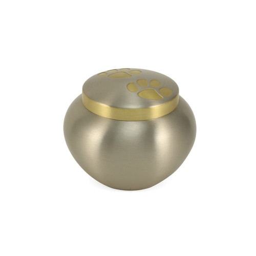 OdysseyÂ® Pewter, Petite