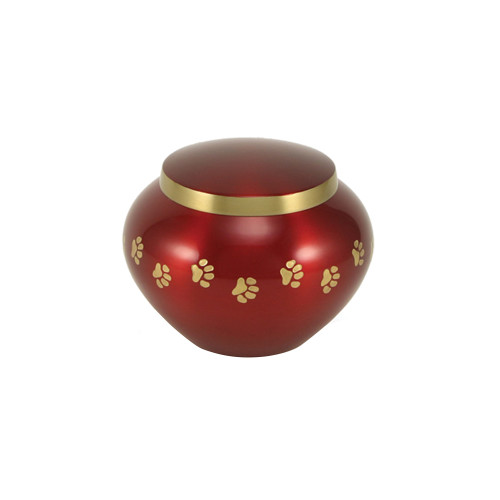 OdysseyÂ® Crimson, Petite