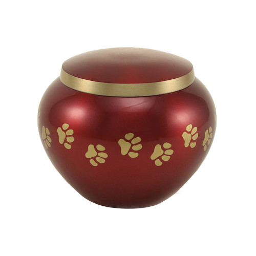 OdysseyÂ® Crimson Extra Small
