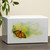 Somerset Butterfly