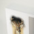 Shadowbox Remembrance Keepsake White-Tailed Deer