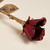 Rose Keepsake Crimson