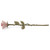 Rose Keepsake Pink