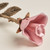 Rose Keepsake Pink