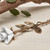 Rose Keepsake White