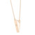The Poly Cremation Necklace in Sterling Silver / Gold - product view 2
