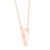 The Poly Cremation Necklace in Sterling Silver / Rose Gold - product view 3
