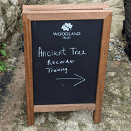 Out & About - Ancient Tree Training Day