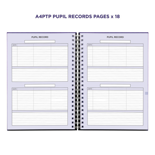 Example pages from a Pirongs Primary Teacher Planner, showing pupil record pages Example pages from a Pirongs Primary Teacher Planner, showing pupil record pages