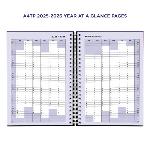 colour test colour test