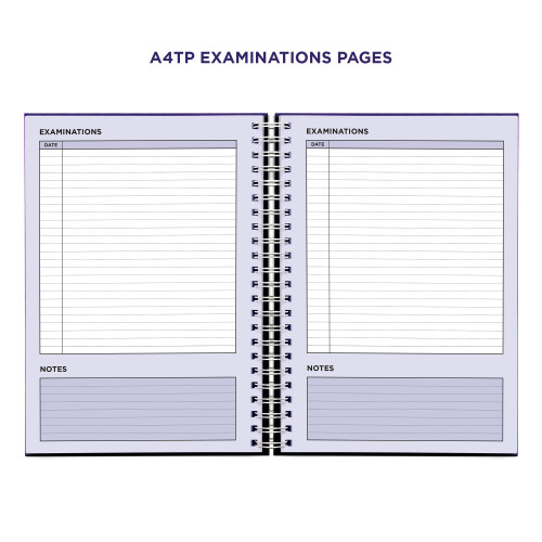 colour test colour test