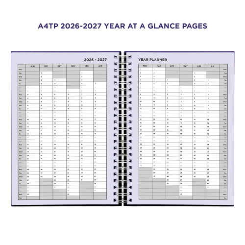 colour test colour test