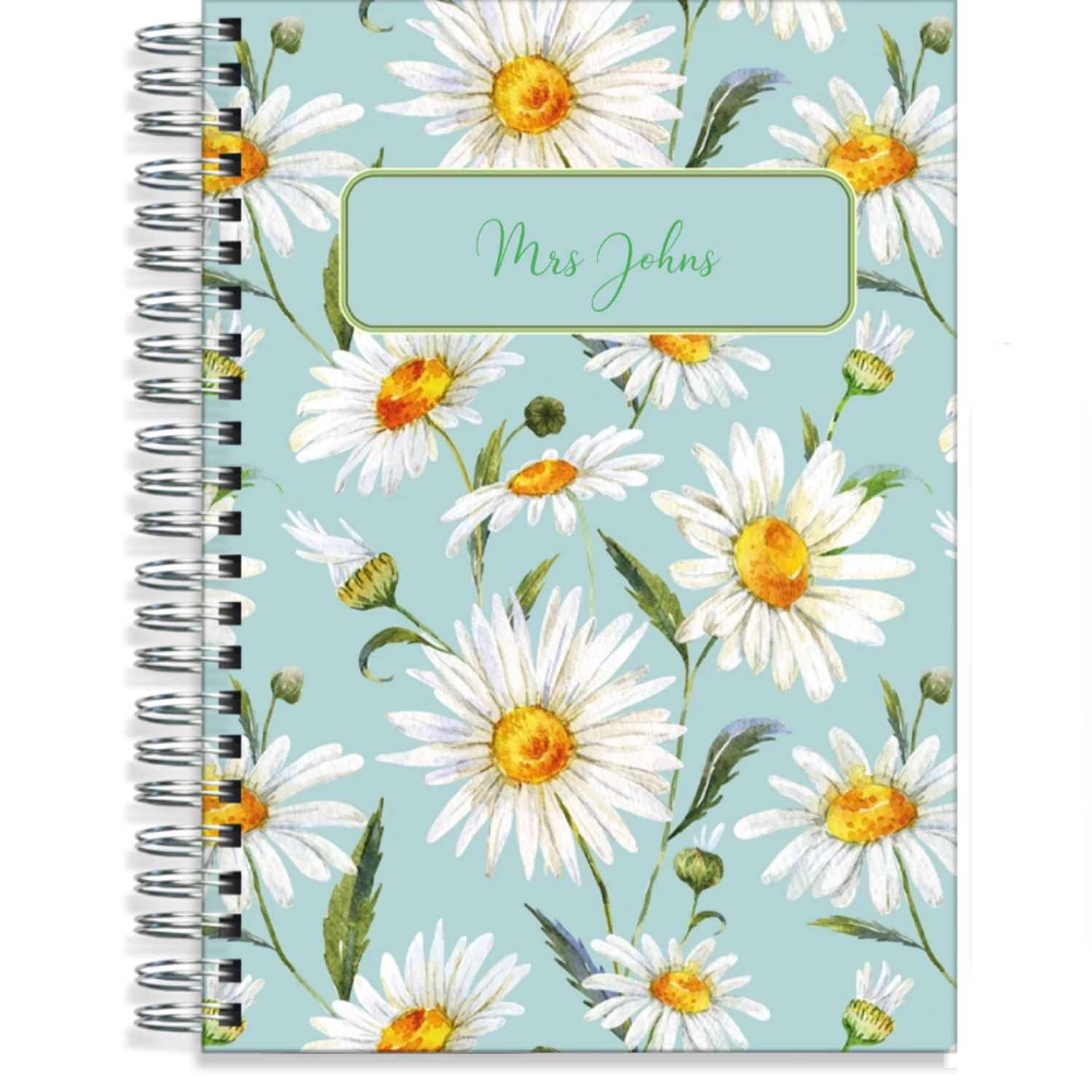 Oxeye