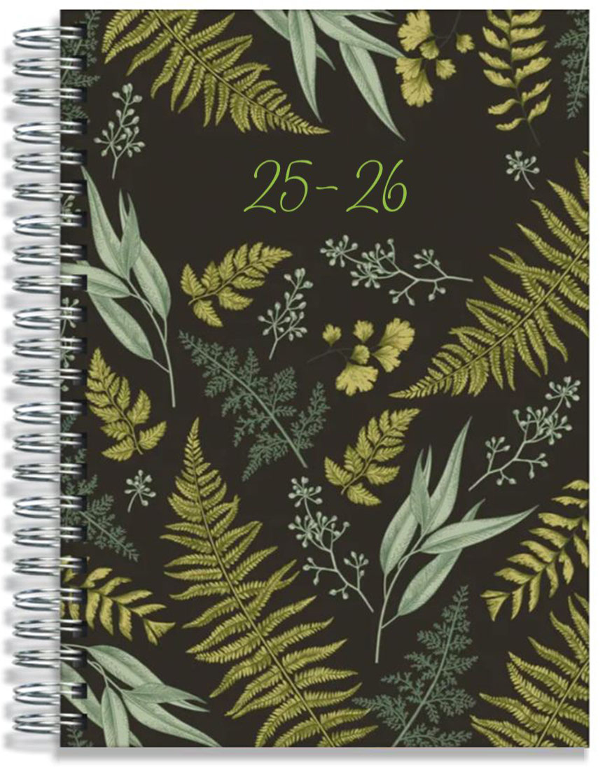 Fern