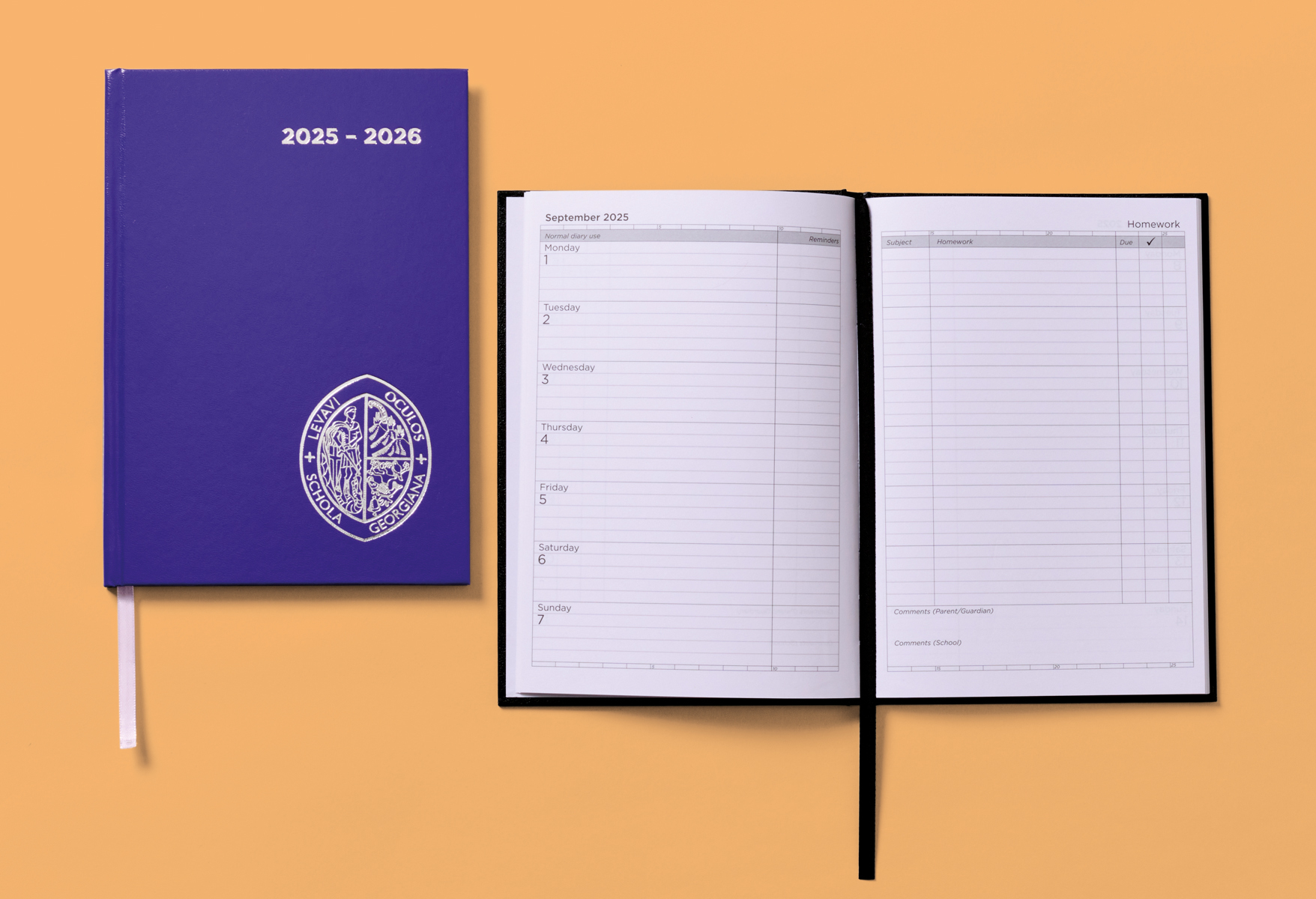 HOMEWORK DIARIES HOMEWORK DIARIES