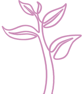 Sprouting Sapling