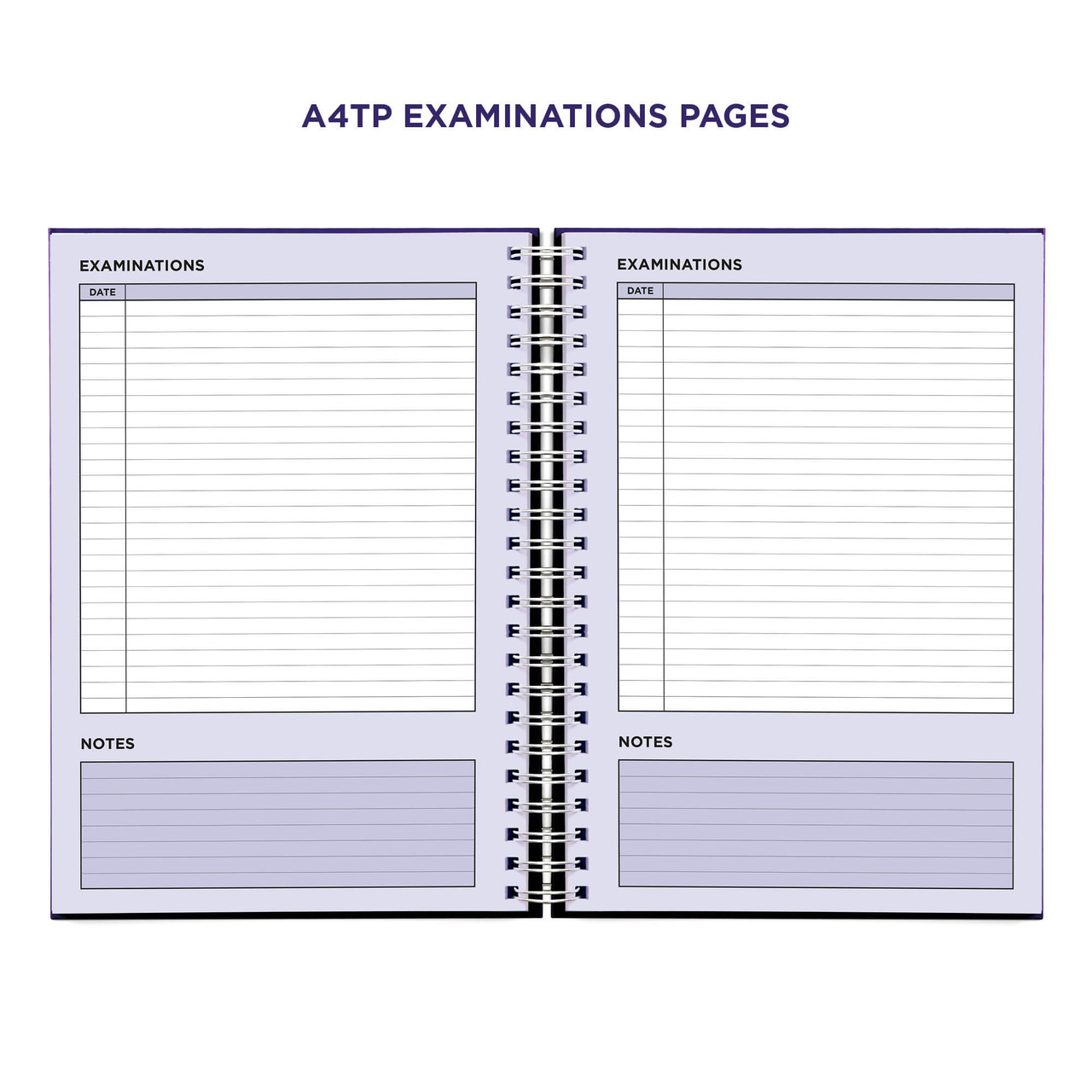 Example pages from a Pirongs Teacher Planner, showing examinations pages Example pages from a Pirongs Teacher Planner, showing examinations pages