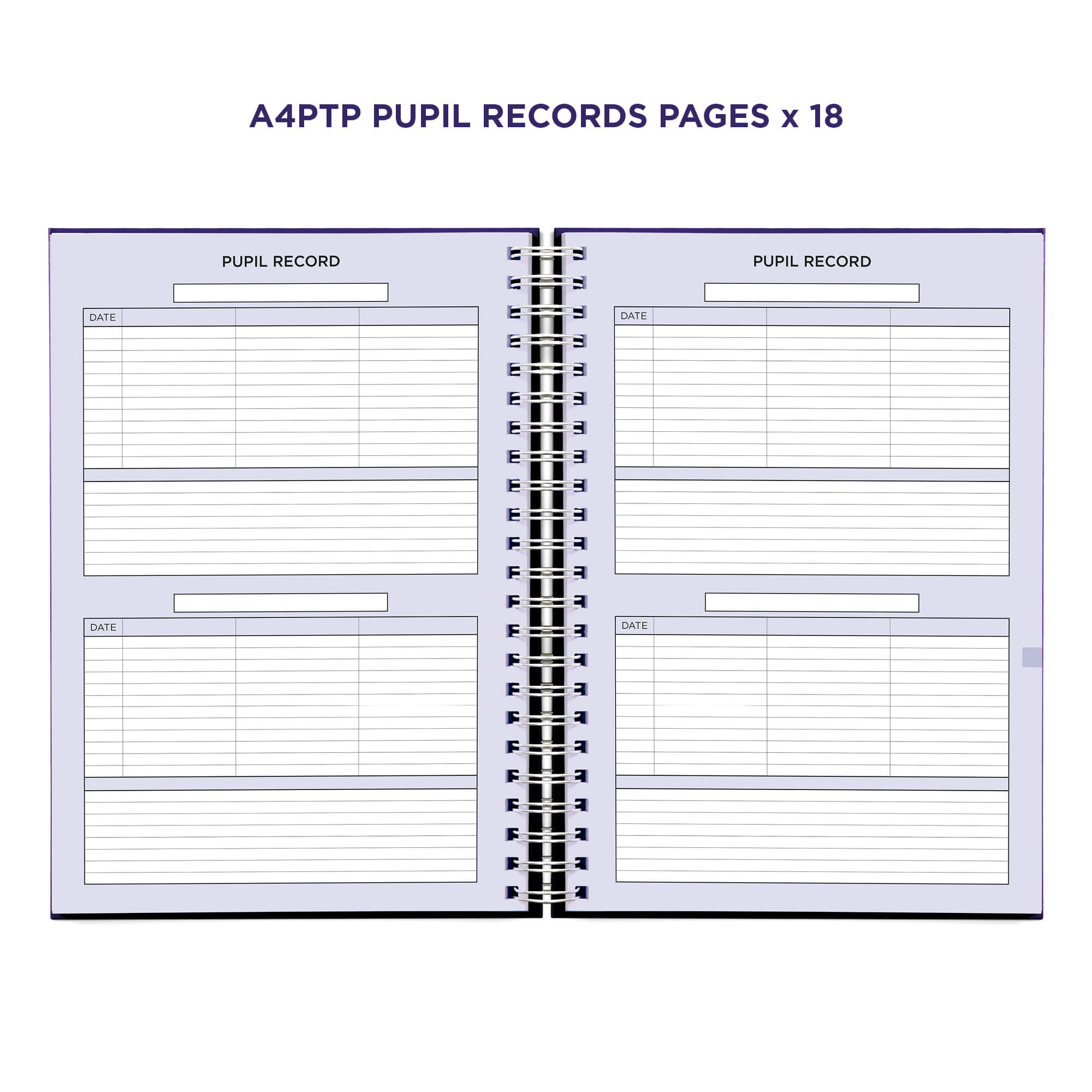 Example pages from a Pirongs Primary Teacher Planner, showing pupil record pages Example pages from a Pirongs Primary Teacher Planner, showing pupil record pages