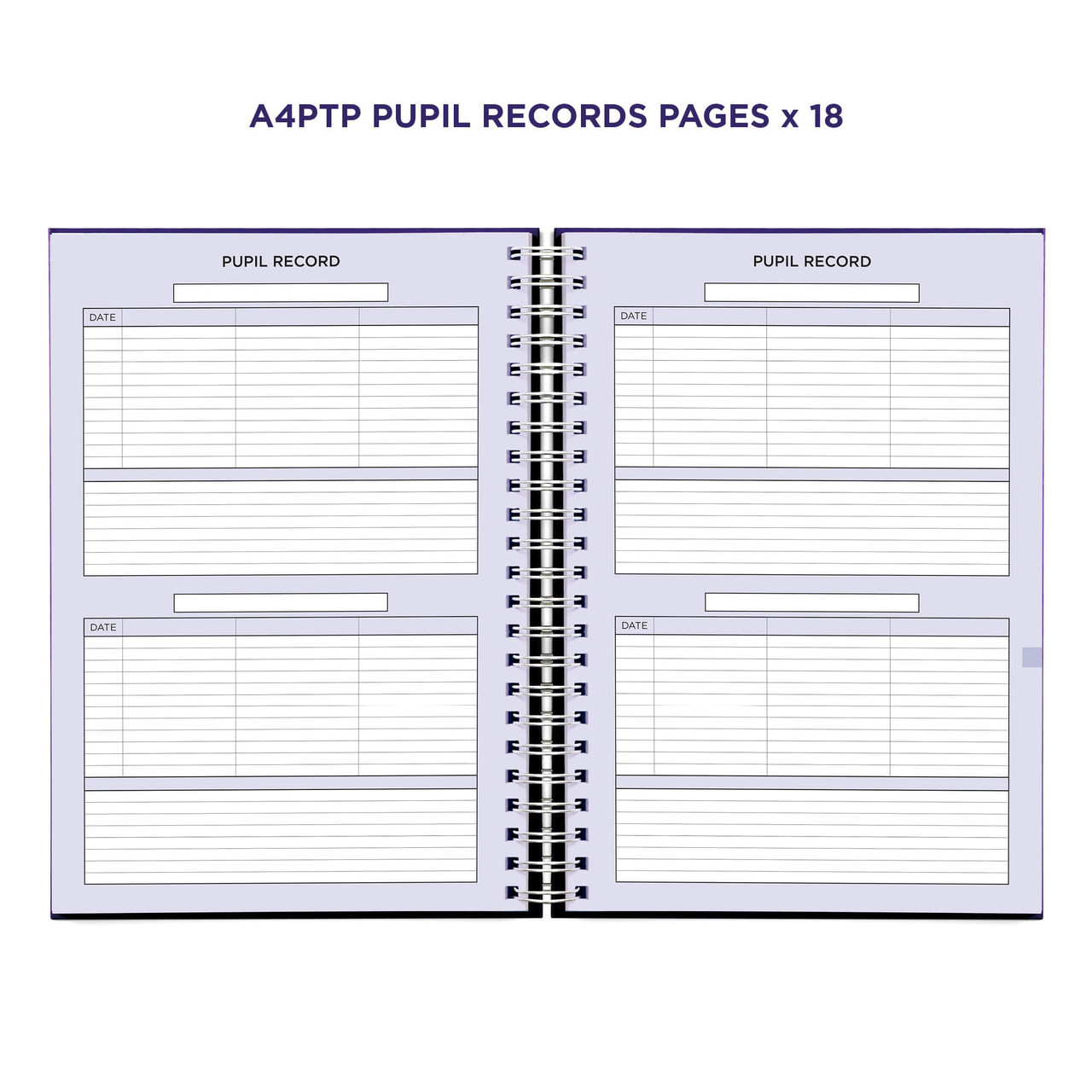 Example pages from a Pirongs Primary Teacher Planner, showing pupil record pages Example pages from a Pirongs Primary Teacher Planner, showing pupil record pages