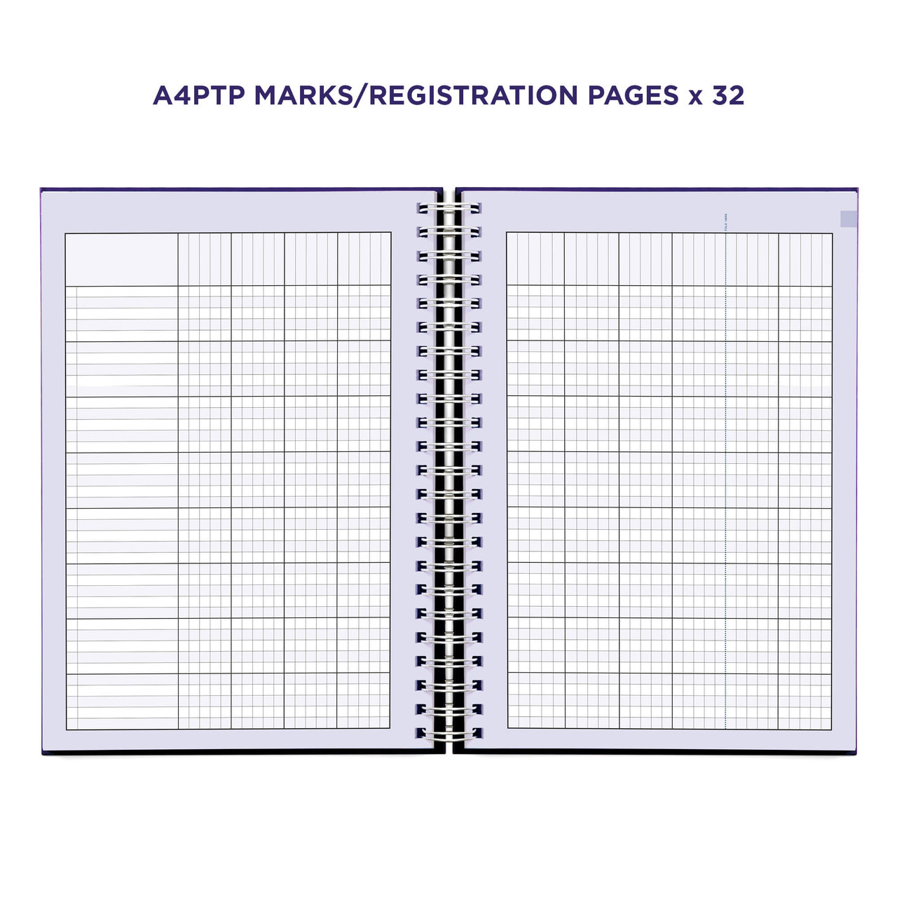 Example pages from a Pirongs Primary Teacher Planner, showing marks/registration pages Example pages from a Pirongs Primary Teacher Planner, showing marks/registration pages
