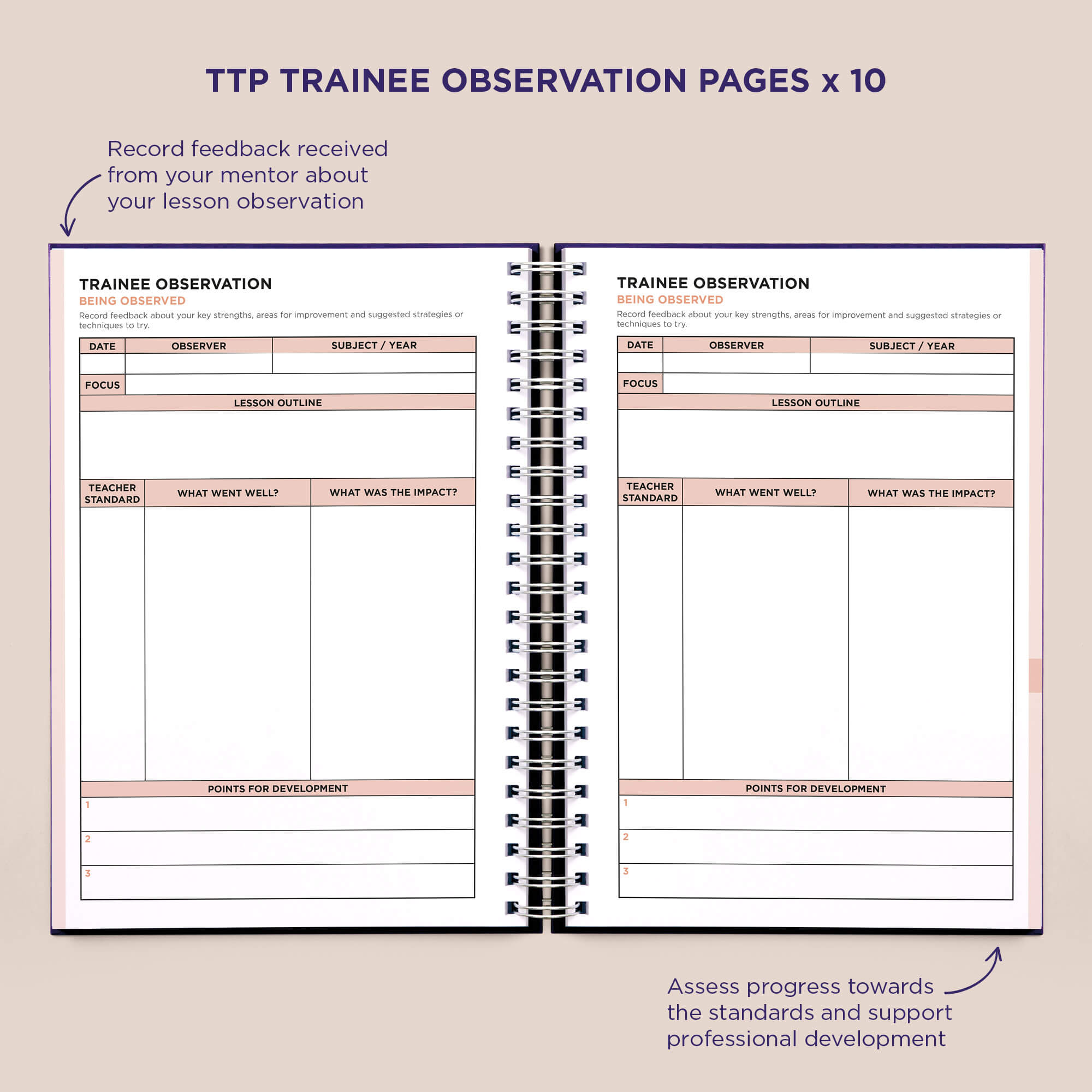 Trainee Teacher Planner - Coloured Marble
