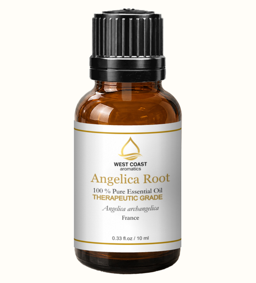Angelica Root 0.33 fl.oz / 10 ml private label essential oil bottle