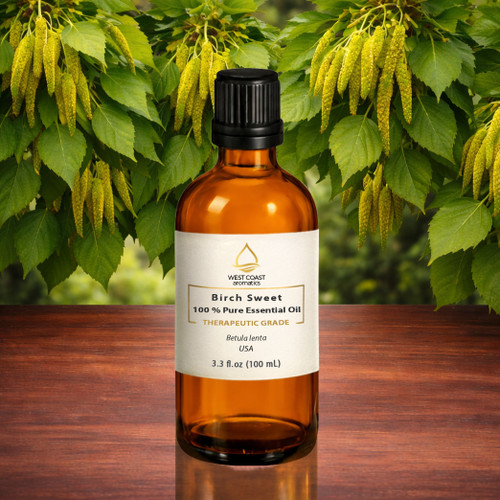 West Coast Aromatics Birch Sweet (Betula Lenta) USA 100% pure essential oil, therapeutic grade
