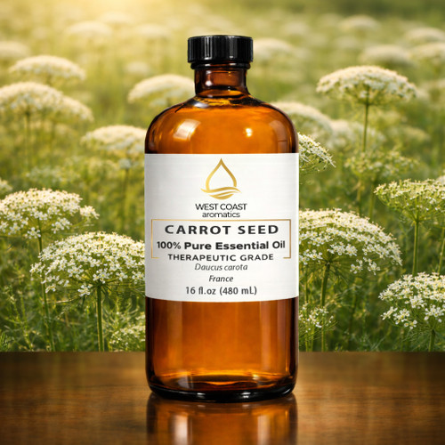 West Coast Aromatics Carrot seed  (Daucus Carota)  France 100% pure essential oil, therapeutic grade