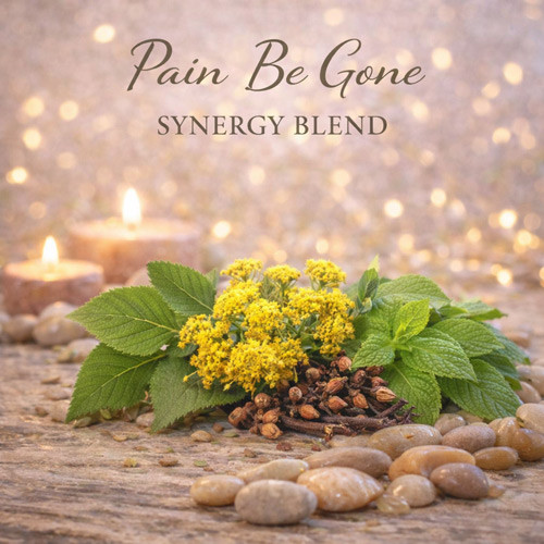 Pain Be Gone essential oil synergy blend for wholesale aromatherapy and body care formulation