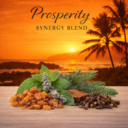 Prosperity essential oil synergy blend for wholesale aromatherapy and body care formulation