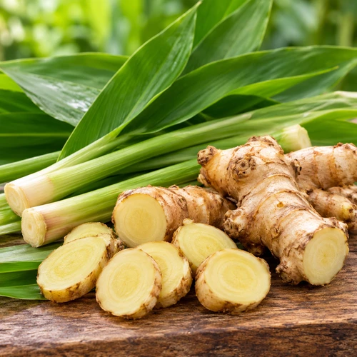 Fresh Plai (Zingiber cassumunar) rhizomes from Thailand, whole and sliced, arranged with lush green leaves, highlighting the plant traditionally used to produce Plai essential oil.