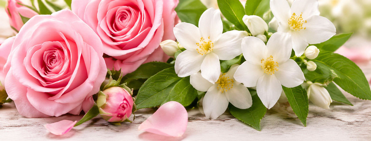Absolutes-essential-oils-category-rose-jasmine-flowers