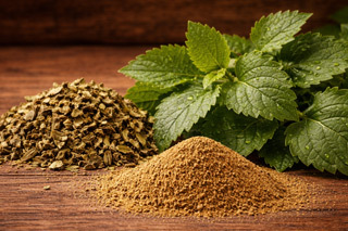 Patchouli leaves for woody essential oils