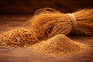 Vetiver roots for earthy essential oils