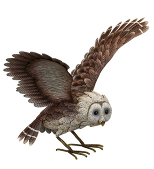 Barn Owl - Wings Up
