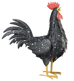 Black Rooster Decor MED