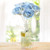 Signature Floral Diffuser Set | Sky Rose