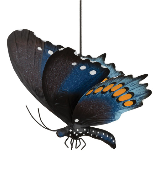 Butterfly Bouncie - Pipevine