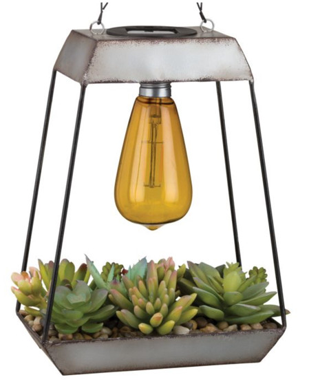 Edison Succulent Solar Lantern - Pyramid