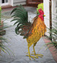 Napa Rooster Decor 15"