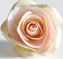 Signature Floral Diffuser Set | Blush Rose