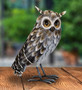 Grey Horned Owl - Standing