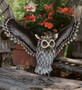 Grey Horned Owl - Wings Up