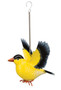Bird Bouncie - Gold Finch