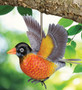 Bird Bouncie - Robin