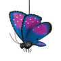 Butterfly Bouncie - Papillon